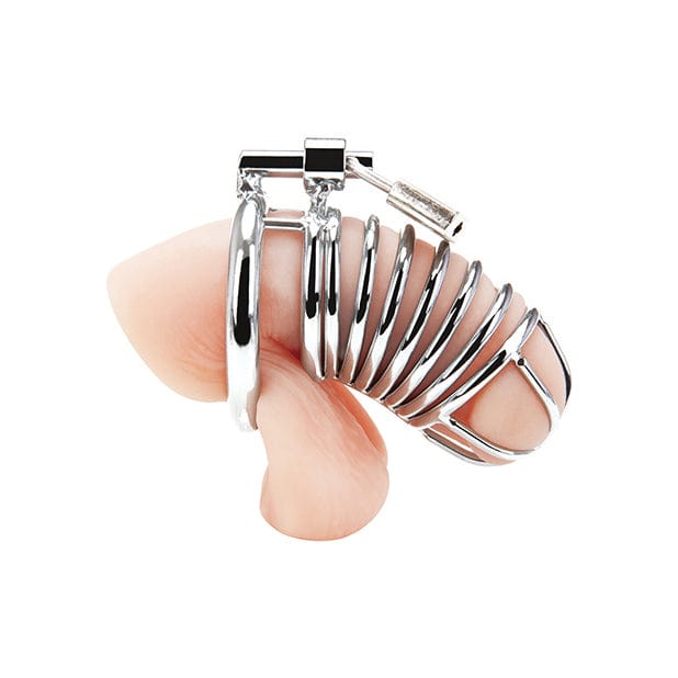 Blue Line - Deluxe Metal Chastity Cock Cage (Silver) Metal Cock Ring (Non Vibration) 4890808238721 CherryAffairs